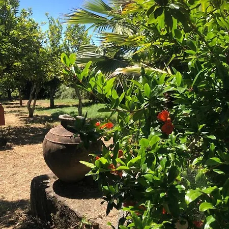 Village de vacances Redondo