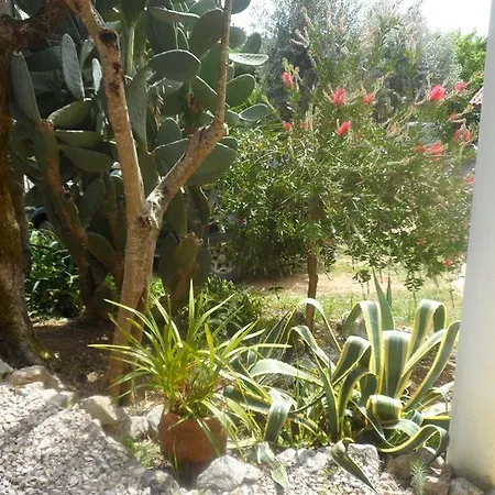 Redondo Junceira