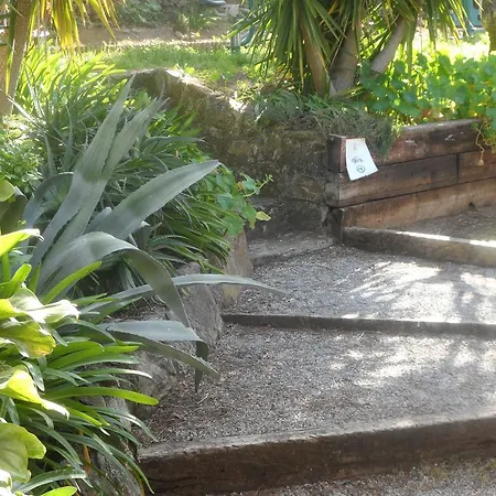 Redondo