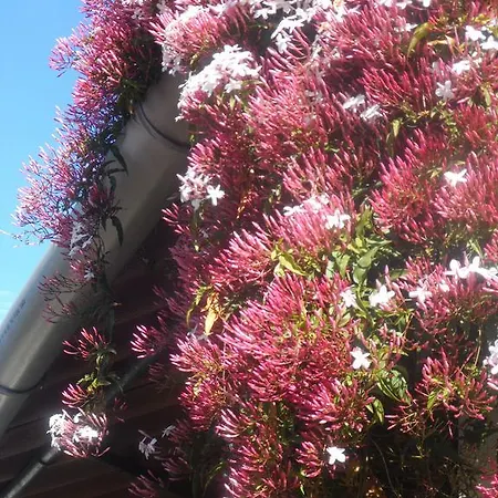 Redondo Village de vacances 2*