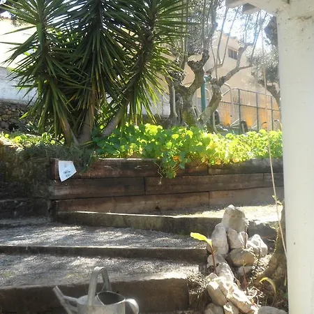 Redondo 2*