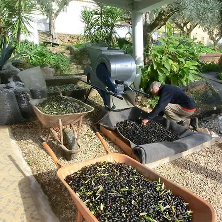 Redondo Village de vacances Junceira