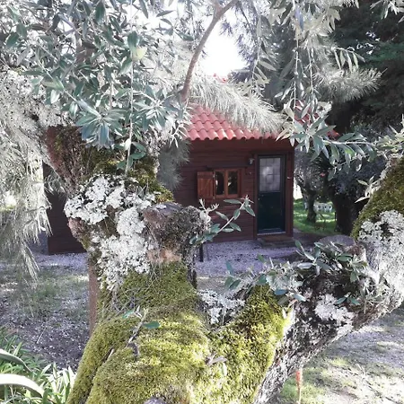 Redondo פארק נופש 2*