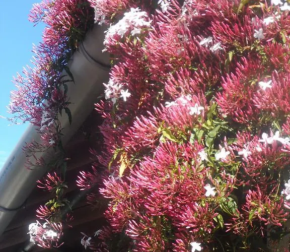 Redondo Kompleks wypoczynkowy 2*