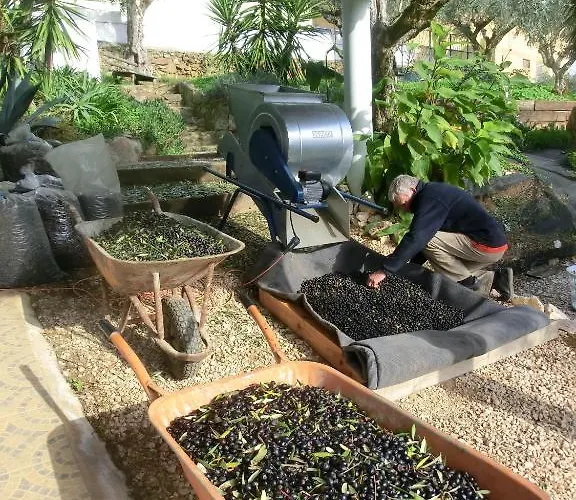 Redondo Kompleks wypoczynkowy Junceira