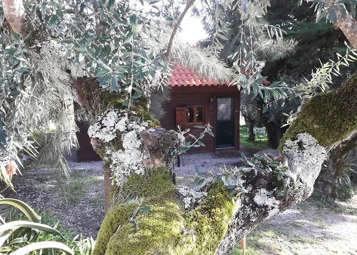 Redondo Kompleks wypoczynkowy 2*